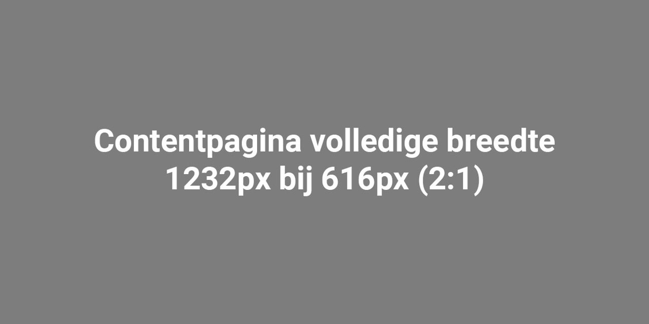 Lorem ipsum